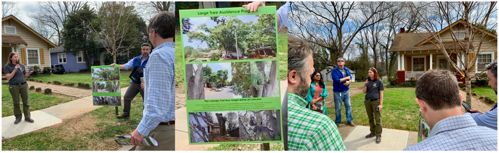 Tree Canopy Tree Assistance Program