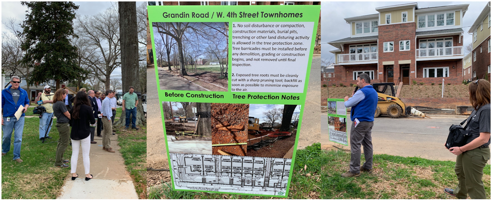 Tree Save example outside of the I-277 loop