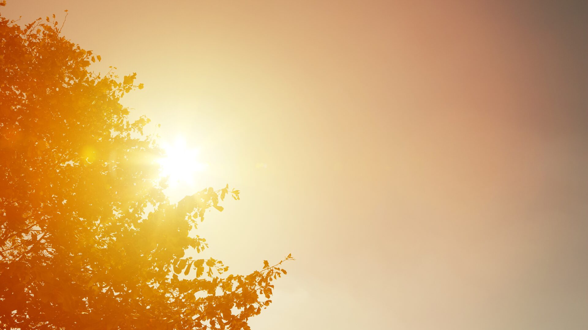 Charlotte’s Sweltering Summer: Real Heat, Real Solutions